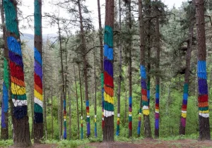 Bosque de Oma en Urdaibai, realizado por el artista Agustín Ibarrola