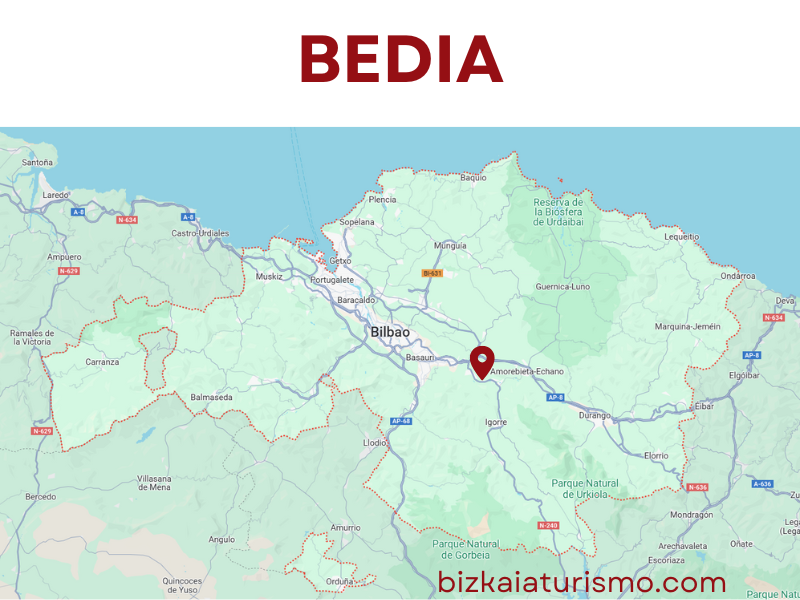 Bedia