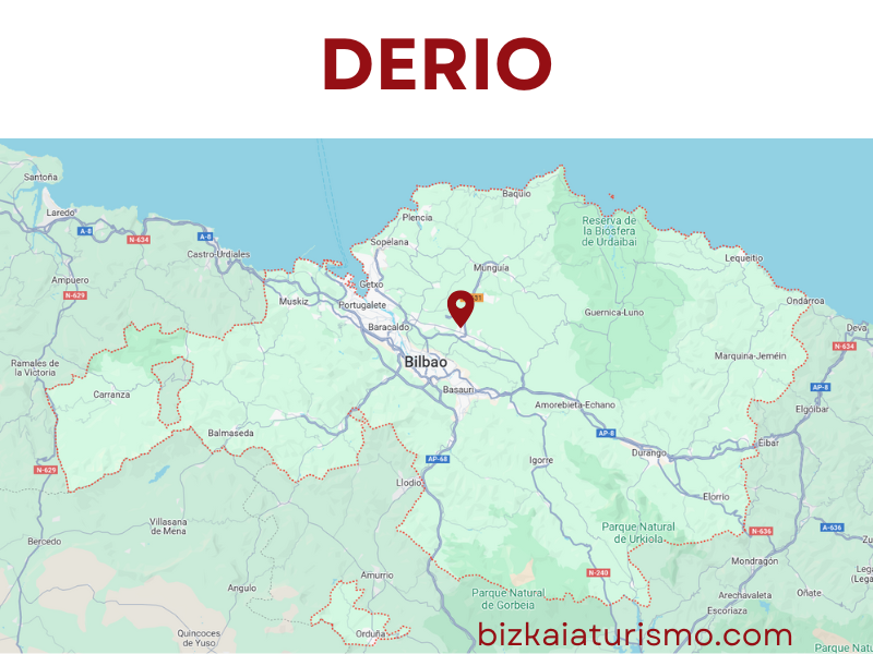 Derio