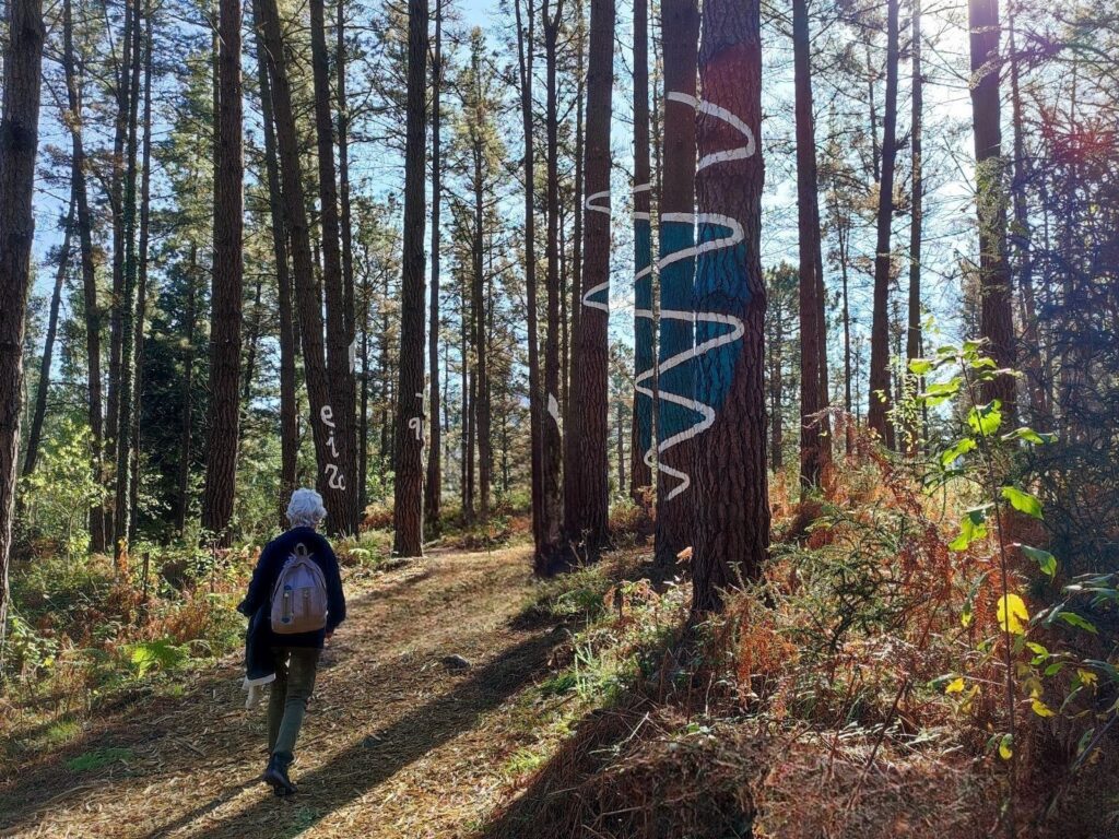 Figura de serpiente en el Bosque de Oma, pintado por Ibarrola