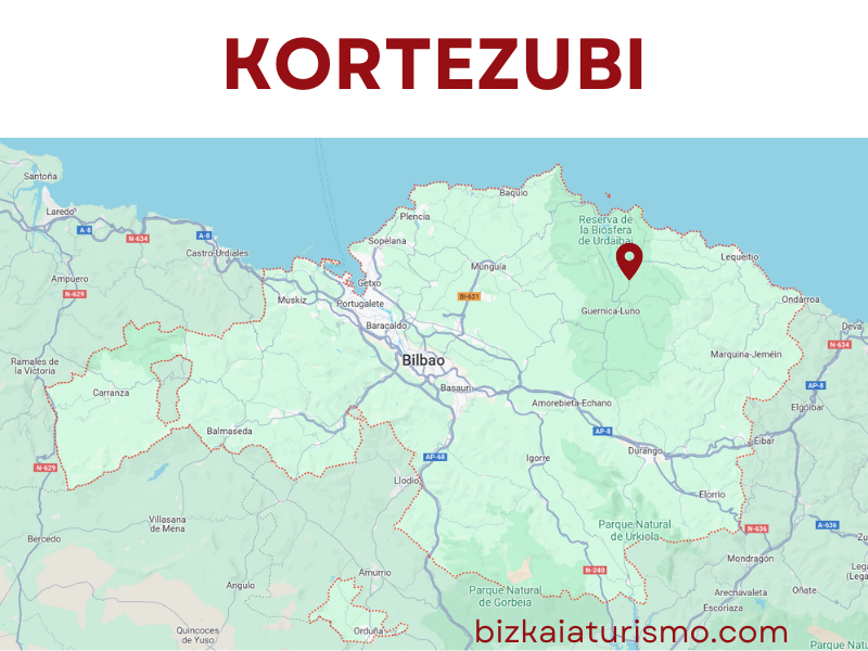 Kortezubi