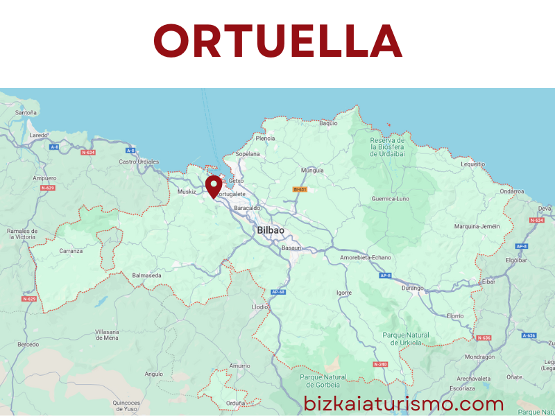 Ortuella