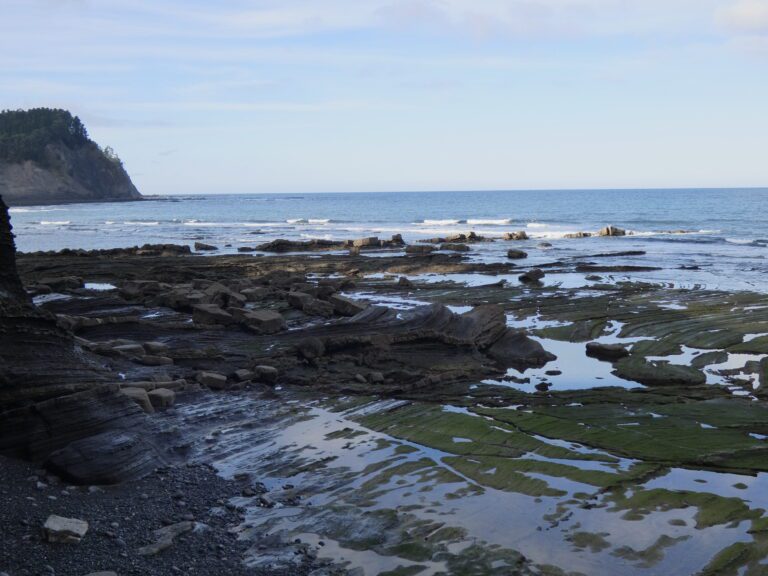 Playa de Ogeia en Ispaster